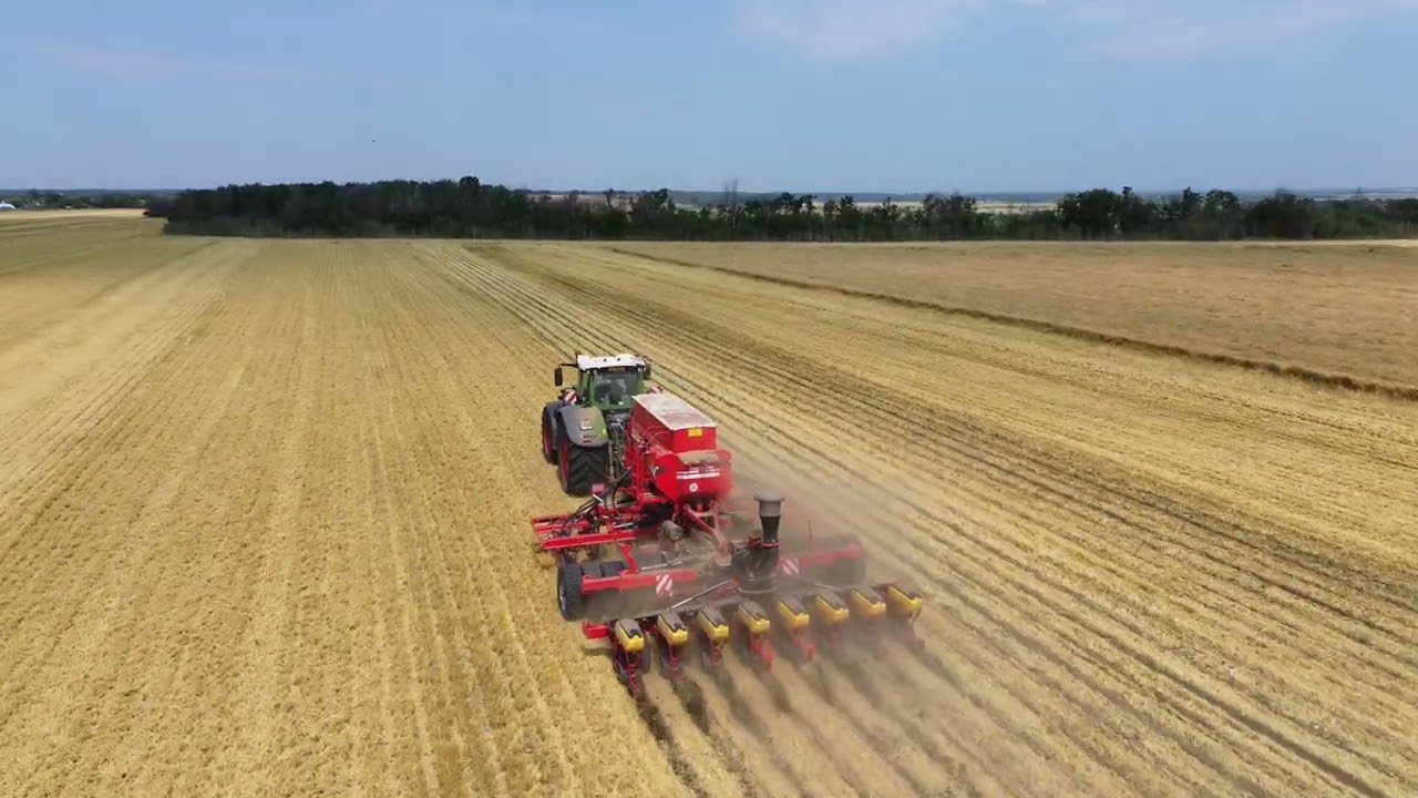 Strip-Till Czajkowski in actiune : Orz recoltat , semanat floarea-soarelui !