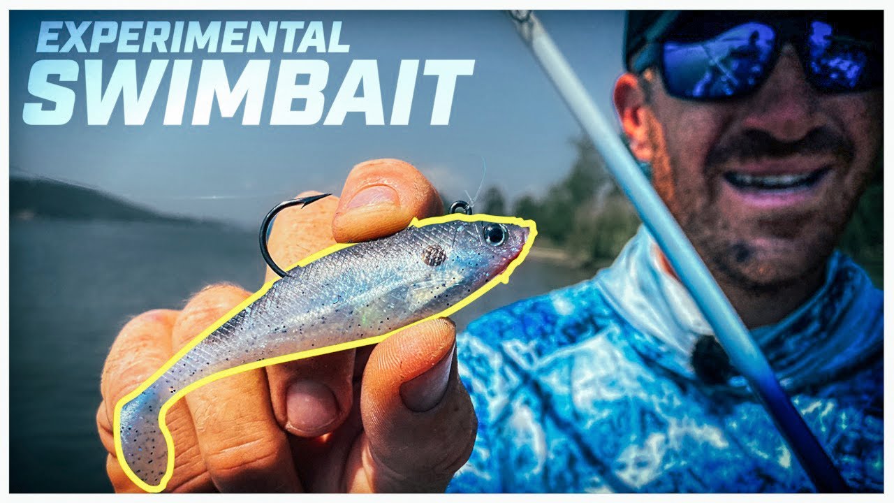 Overlooked Shad-Imitating Swimbait for Tough Bass