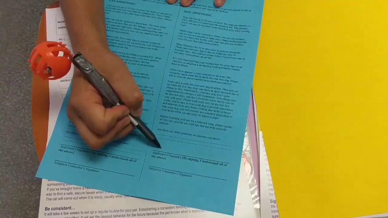 Adoption Ambassador Paperwork