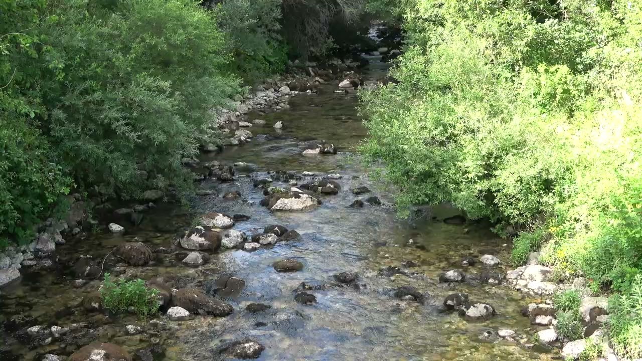 Relaxing River Sounds - Peaceful Forest River-4K