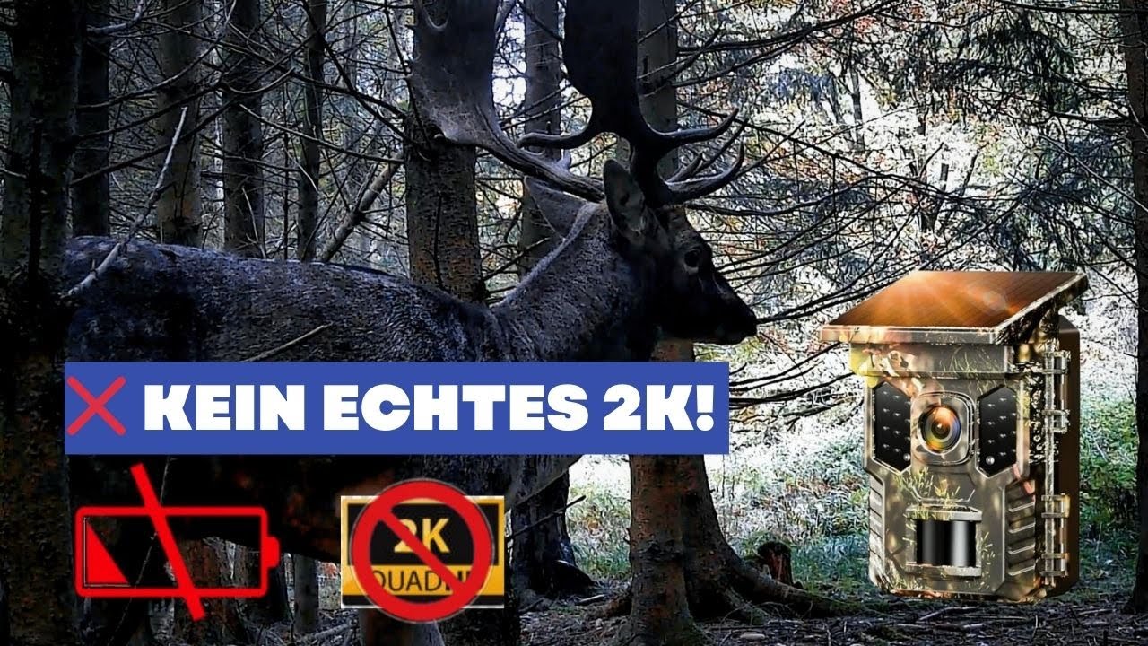 ❌ KEIN ECHTES 2K! | Diese Wildkamera frisst DEINE Akkus! (XTU SV-TCQSW Review)