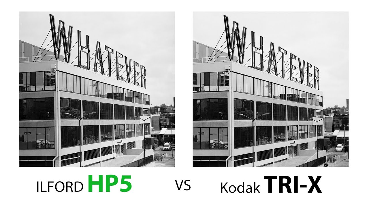 ILFORD HP5 PLUS vs Kodak TRI-X  | Hasselblad 503 CW