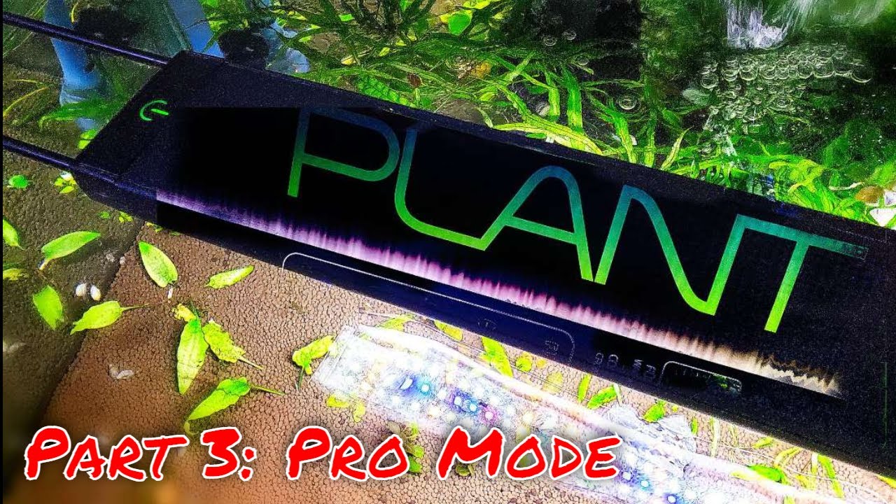 The Best Aquarium Light's Secret: Pro Mode - Ultimate Guide to the Fluval Plant 3.0 LED - Part 3
