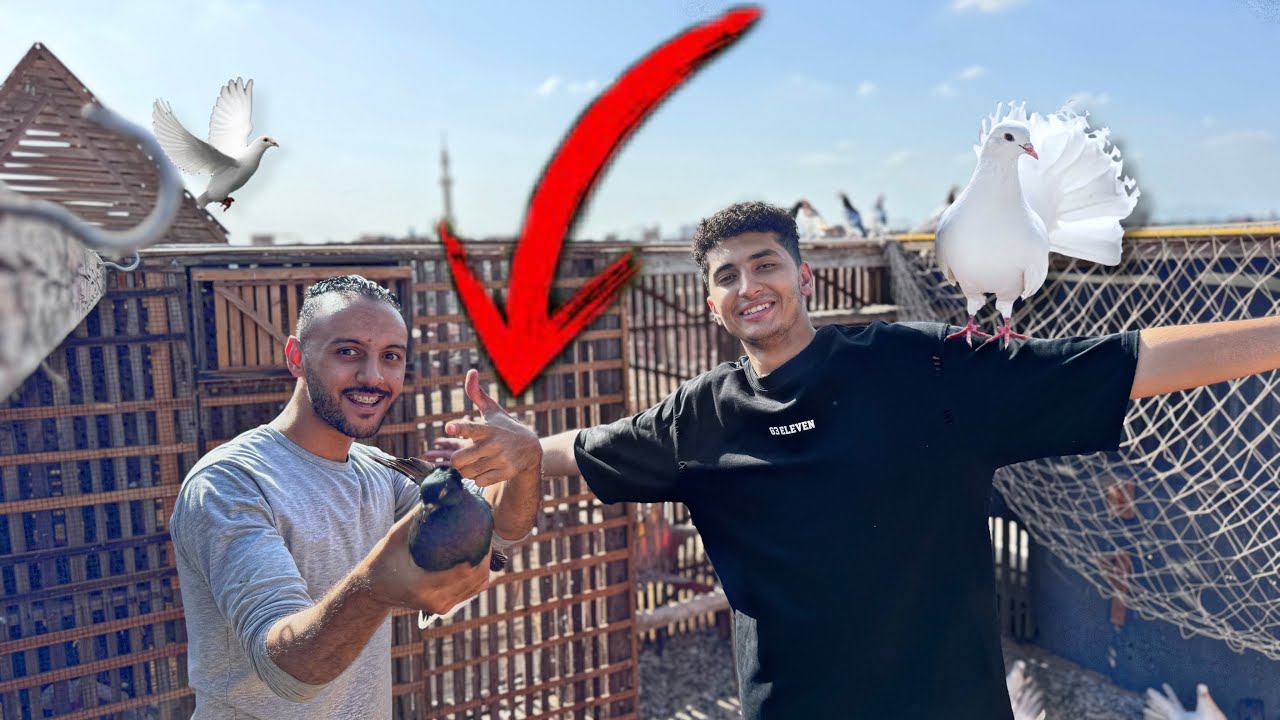 اشتريت حمام احمد السيد كله😮ولاكن(النهايه صدمتني)ماكنتش متوقع ال هيحصل😱