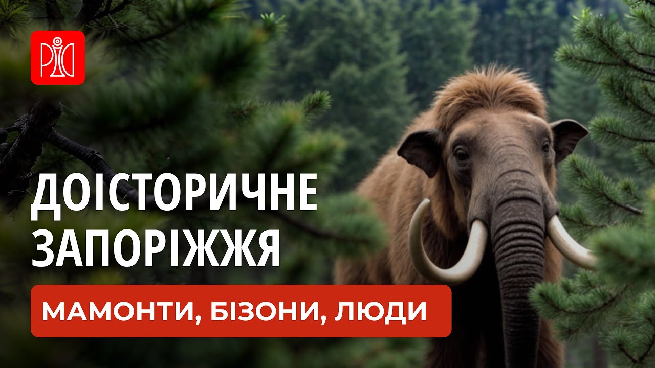 Запорізькі Мамонти з дна Каховського водосховища!