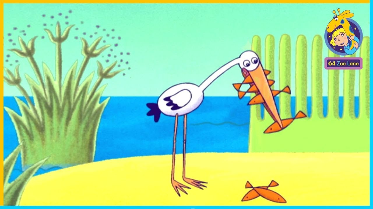 The Story of Pauline the Pelican | 64 Zoo Lane