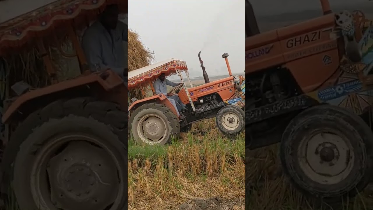 Imt bull power stuck #foryou