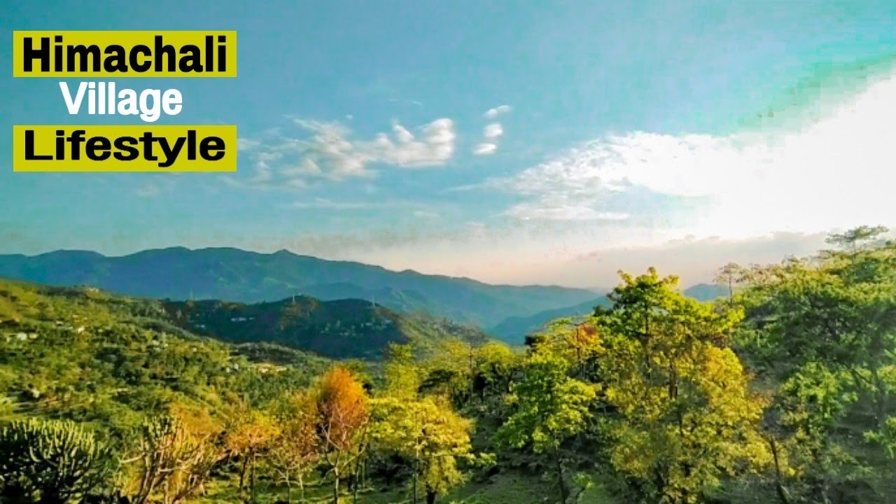 पहाड़ी रास्ते और मदहोश कर देने वाली शाम ♥️| Himachal Pradesh Village Lifestyle || Himachal vlog