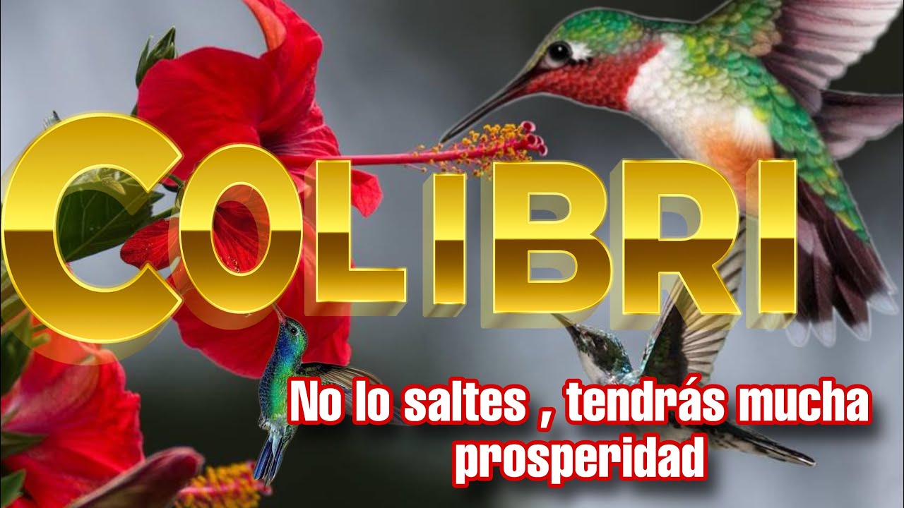Toca El Colibr&iacute; y En 5 Minutos Te Llaman Para Darte Dinero🍀 Ho'oponopono dinero palabra colibr&iacute;