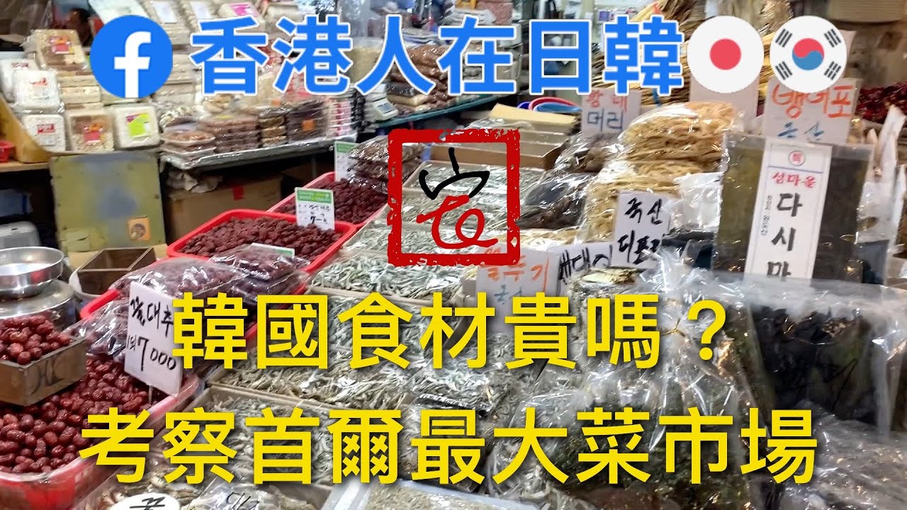 韓國食材貴嗎？考察首爾最大菜市場#買餸#韓語#京東市場#韓國物價#人蔘#香港人在日韓