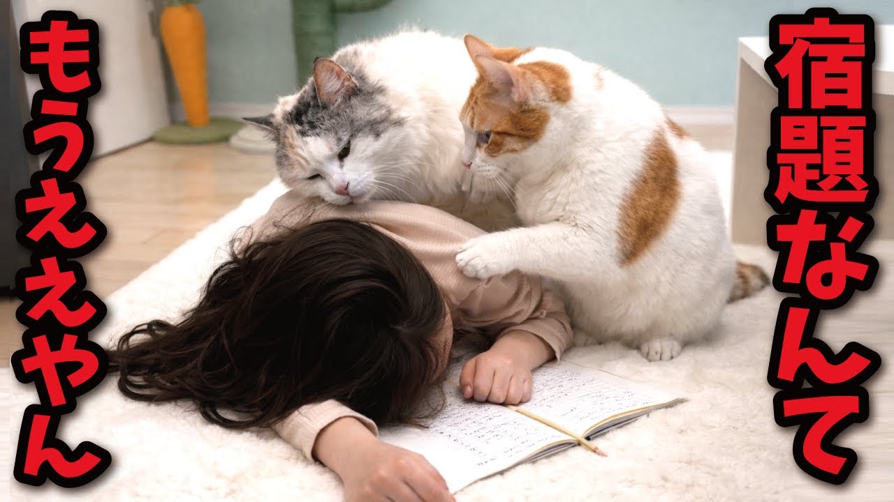 【もう限界…】冬休みの宿題が終わらない８歳の娘に悪魔のささやきをする猫たち