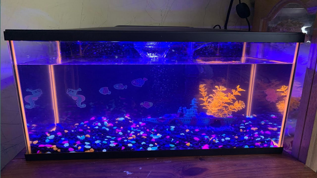 How to set up a fish Aquarium at home  | MARINA fish aquarium | cooking adventure n fun