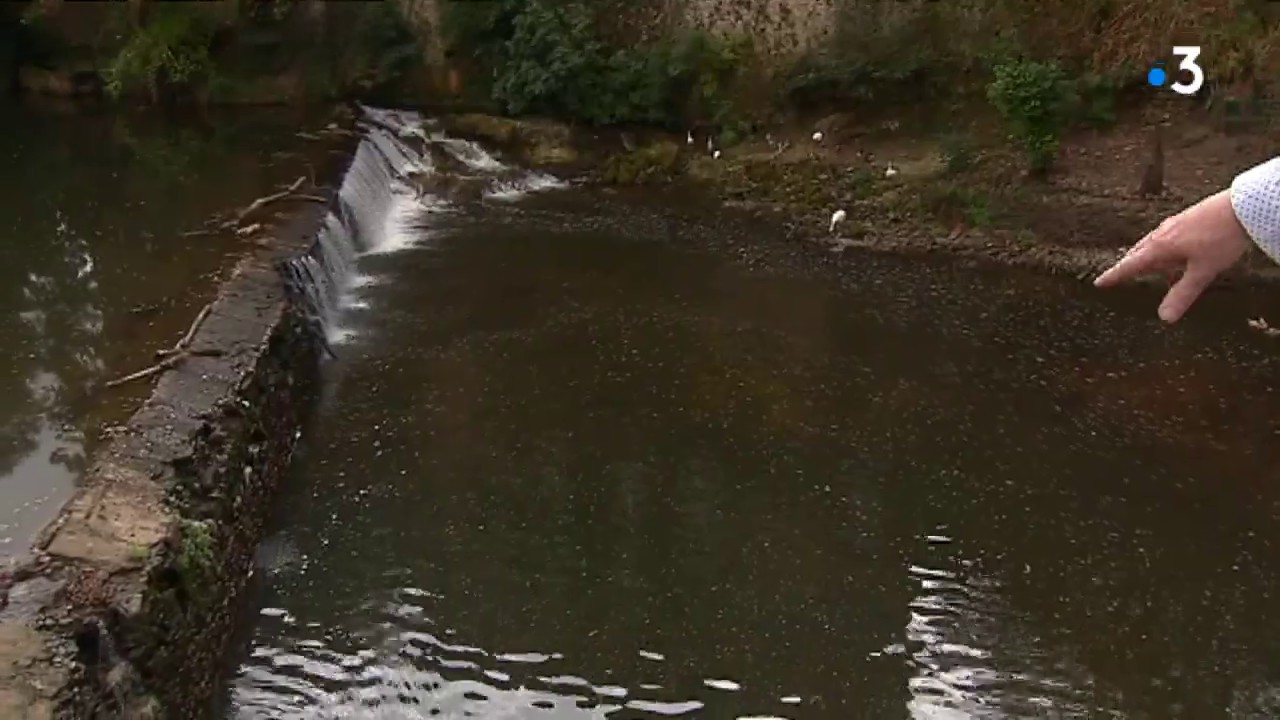 Tarn : suspicion de pollution de la rivi&egrave;re Dadou &agrave; Graulhet
