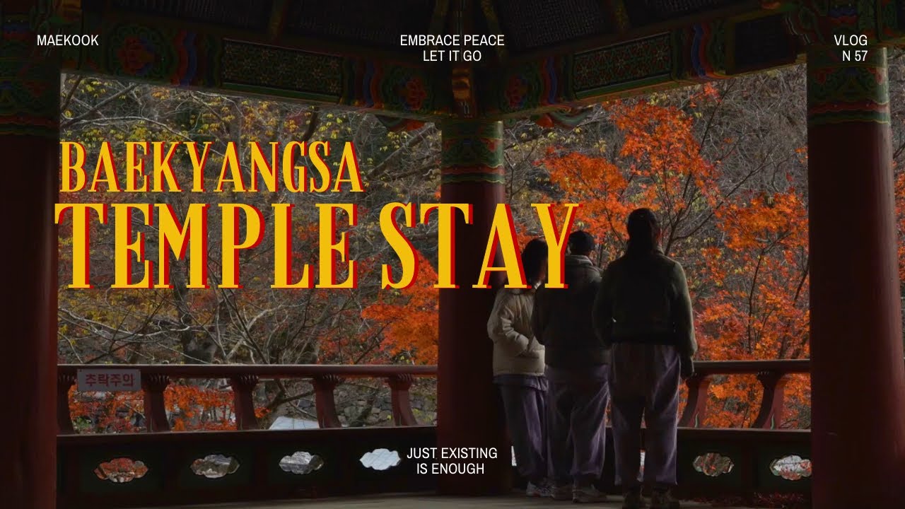 전라도 사찰 여행을 위해 3년을 기다렸는데, 드디어 백양사에 가서 정관 스님을 만날 거예요!!!!!!