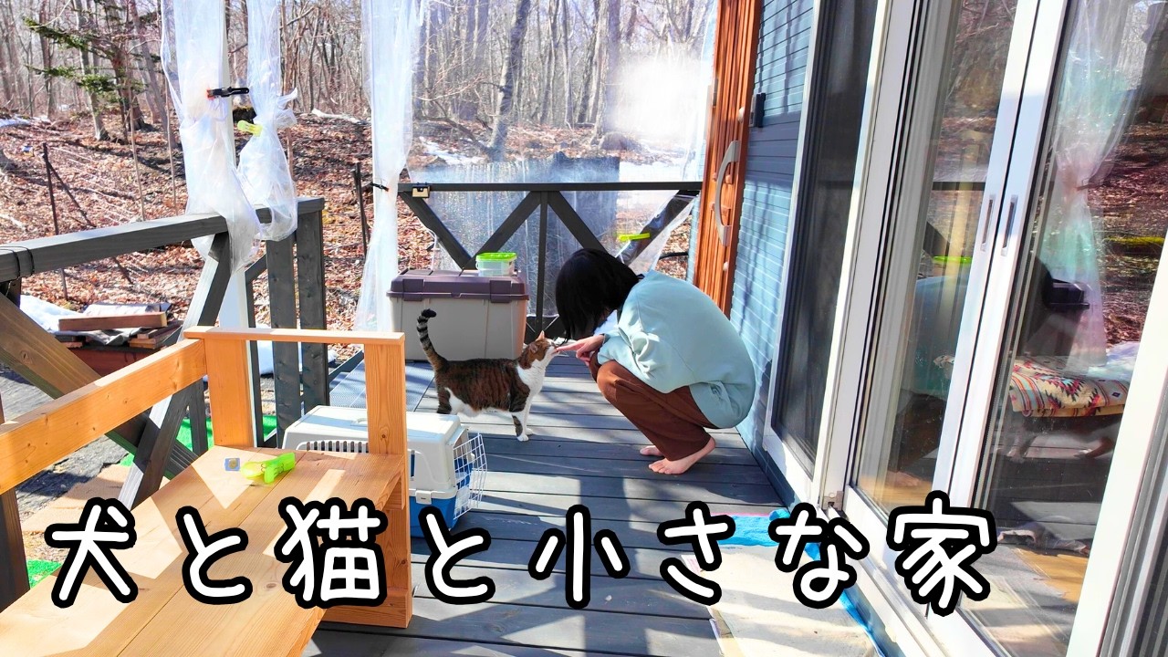 いつも通りが一番嬉しい　【犬と猫と北海道で田舎暮らし】