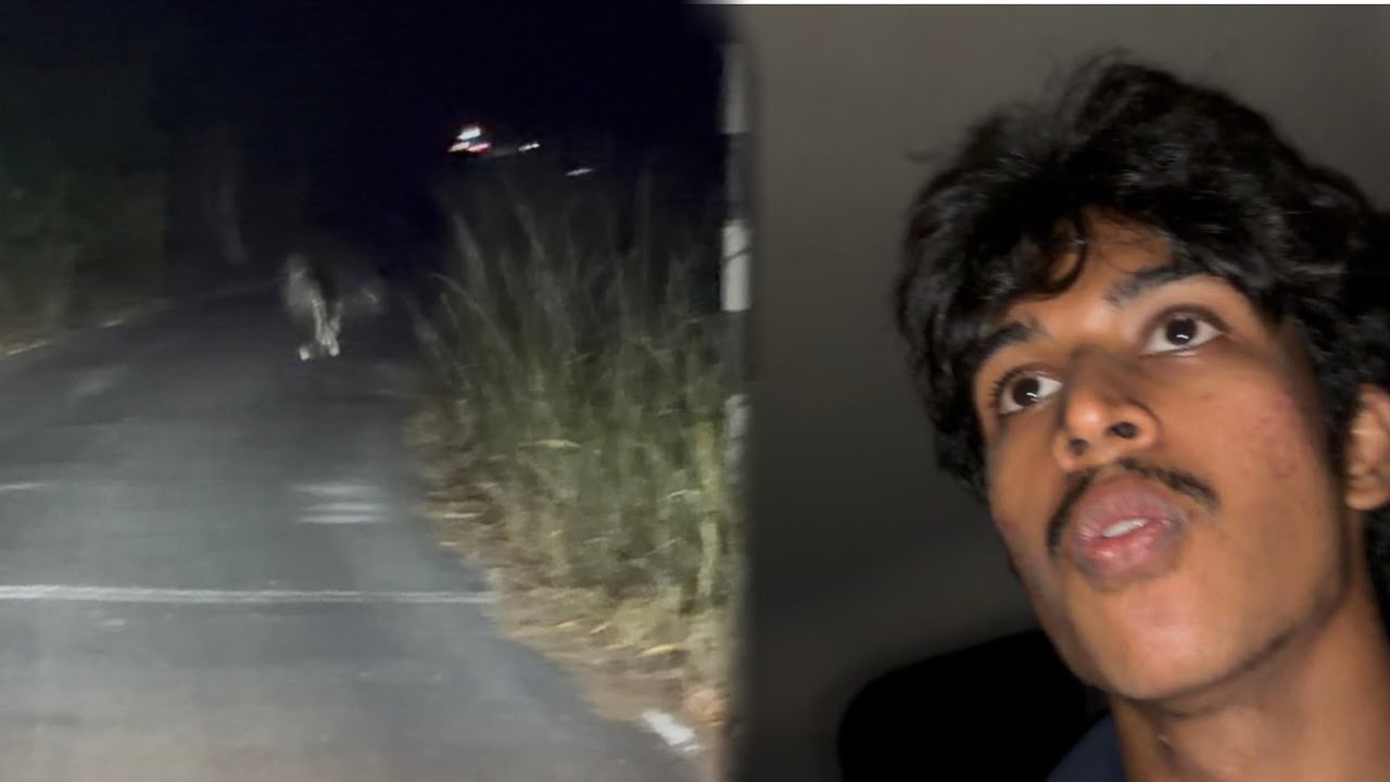 Ajeeb Bird Rasta Rok Rahi Thi 🐦😨 | Unexpected Moment | Full Vlog