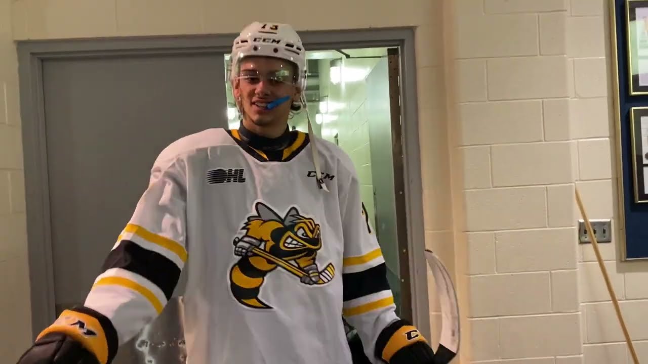 Sarnia sting
