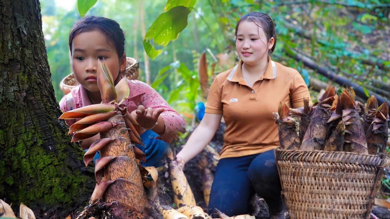 Дочь уходит из дома учиться, собирает побеги бамбука, семья развлекается вместе