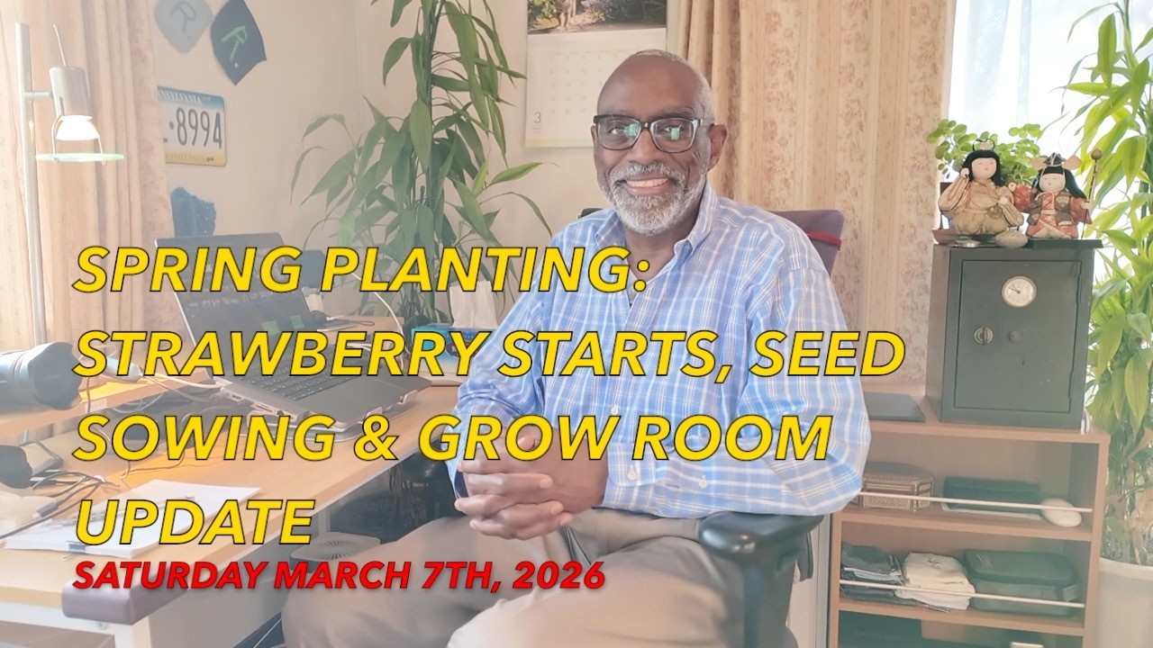 Spring Planting: Strawberry Starts, Seed Sowing & Grow Room Update