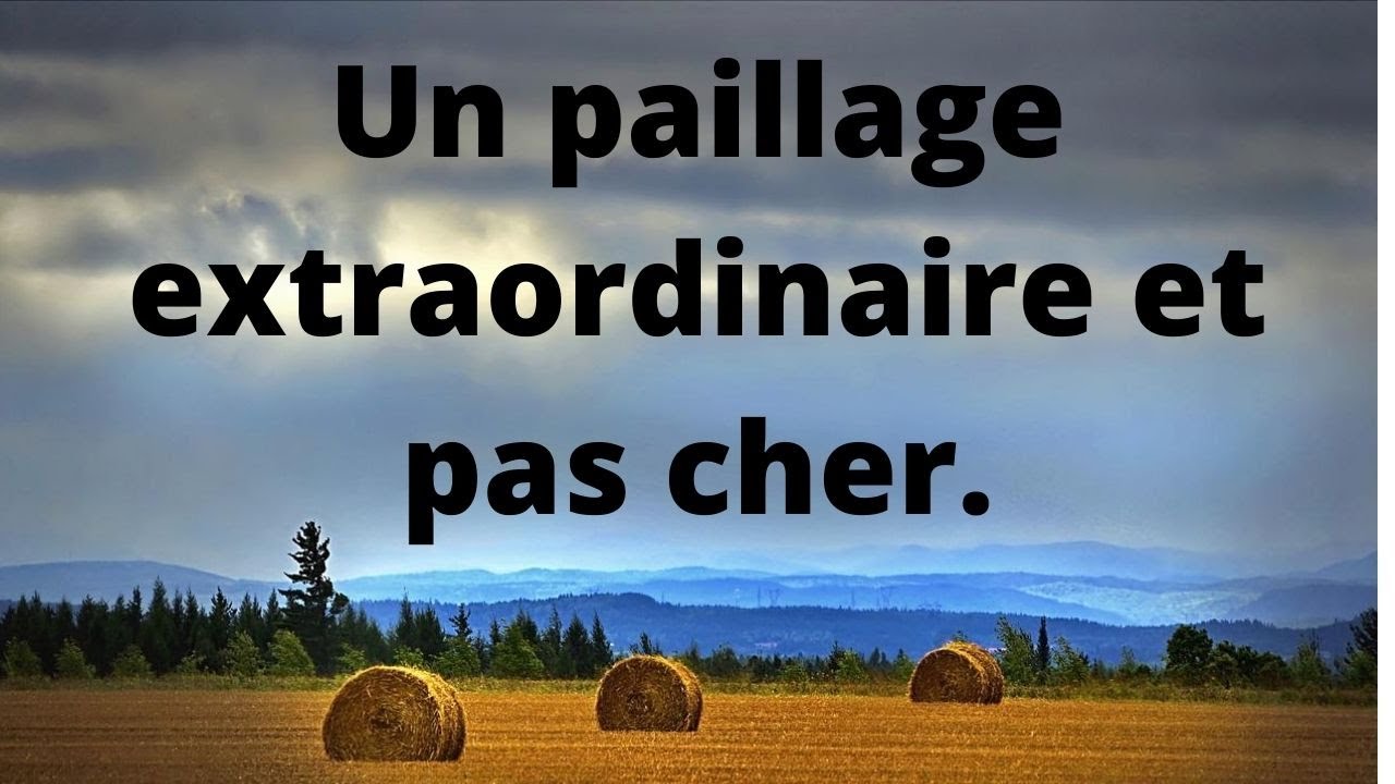 Un paillage extraordinaire et pas cher.