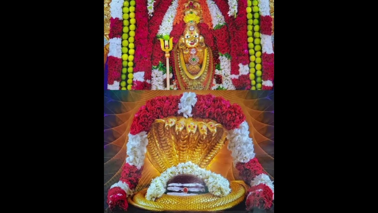శ్రీ భ్రమరాంబిక అష్టకం...