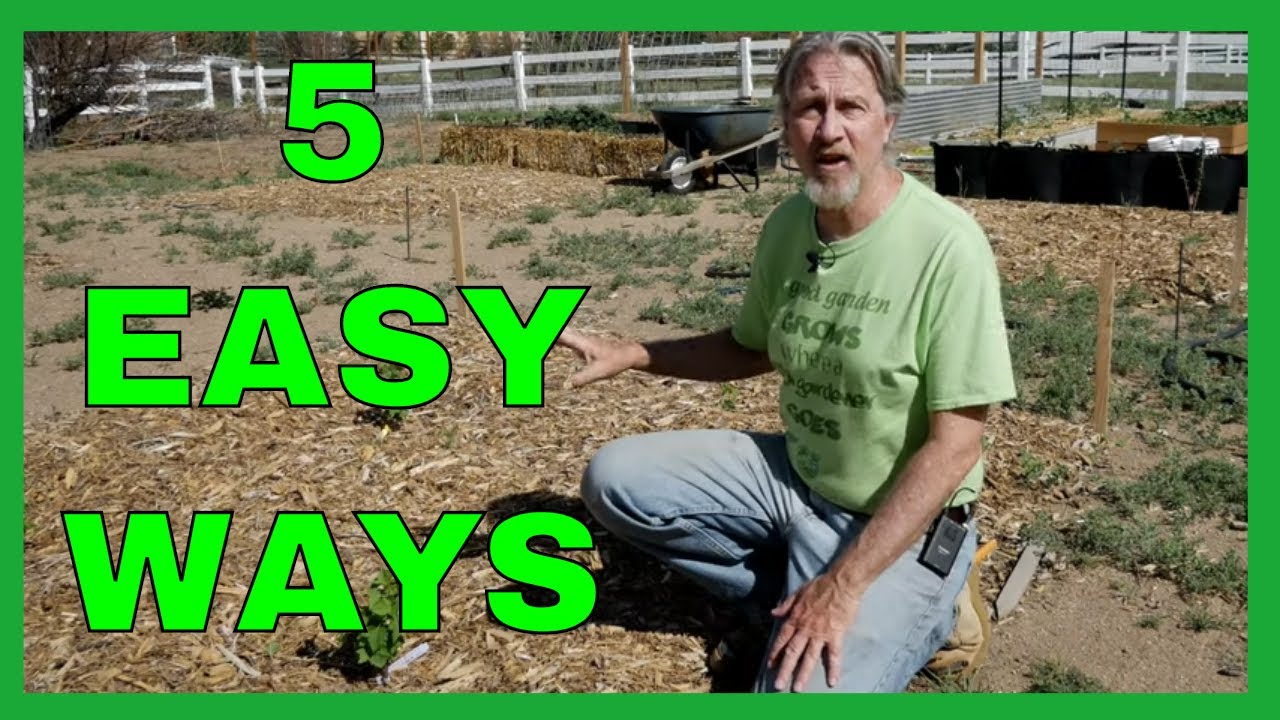 How to Weed Your Garden