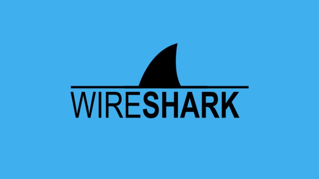 Wireshark Network Analyzer (Malayalam) | വയർഷാർക്ക് എങ്ങനെ ഉപയോഗിക്കാം