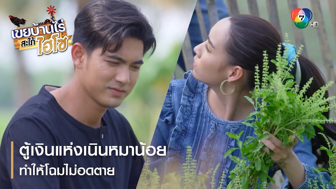 ตู้เงินแห่งเนินหมาน้อยทำให้โฉมไม่อดตาย | ตอกย้ำความสนุก เขยบ้านไร่ สะใภ้ไฮโซ EP.4 | Ch7HD