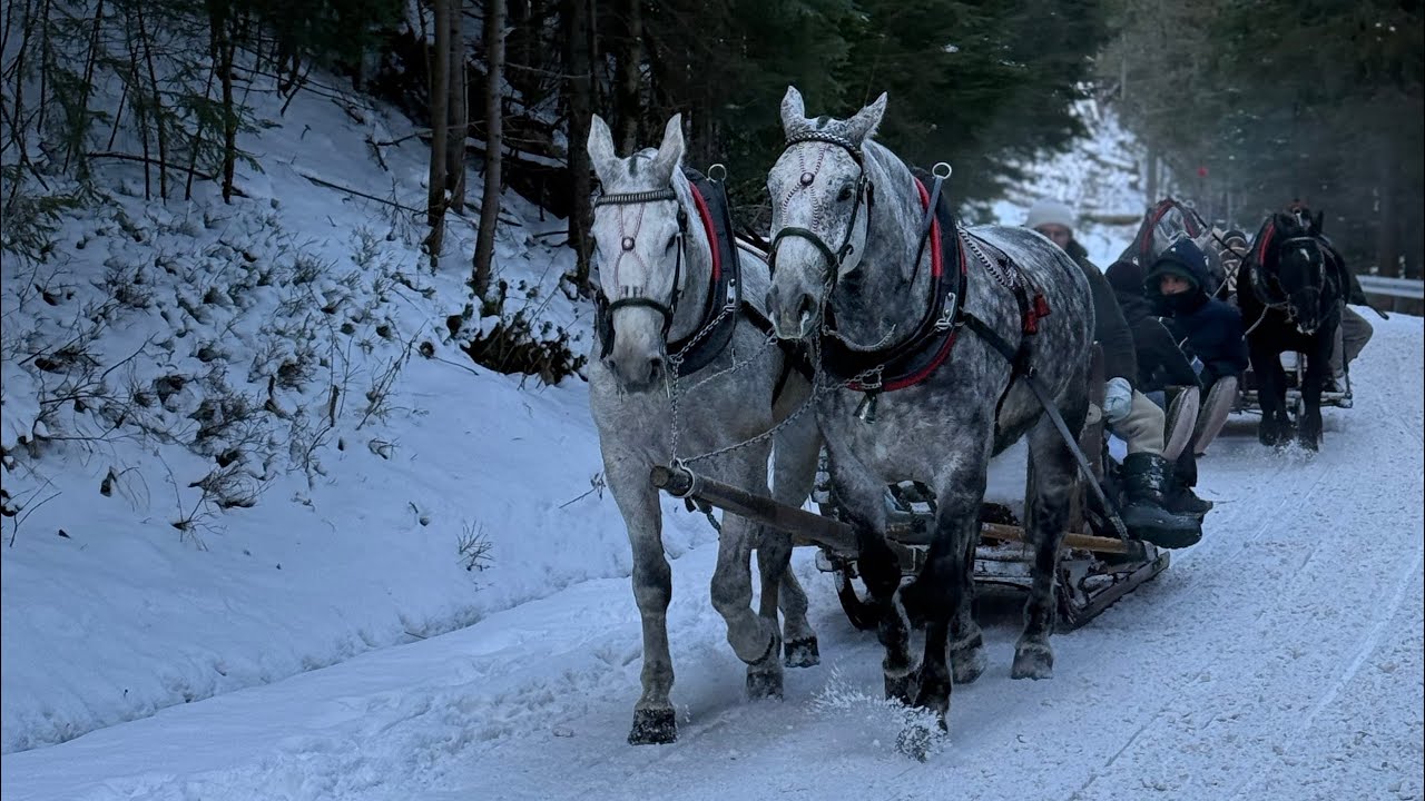 Winter in Zakopane. Hiking the Tatras mountains | New Year Adventure in Poland.