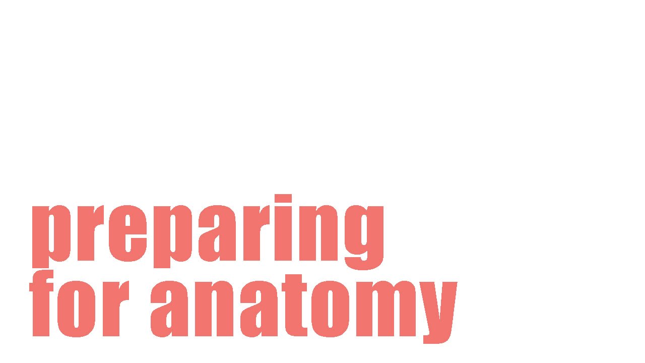 Preparing For OT School Anatomy