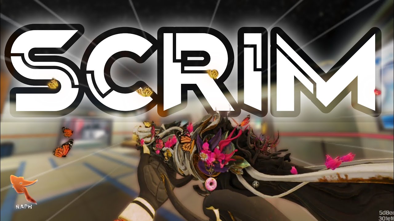 76 KILLS in PRO SCRIMS with the VMP in CODM...