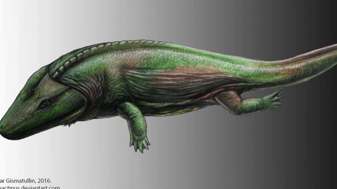 Mastodonsaurus And The Temnospondyls - The Strange Prehistoric Amphibians