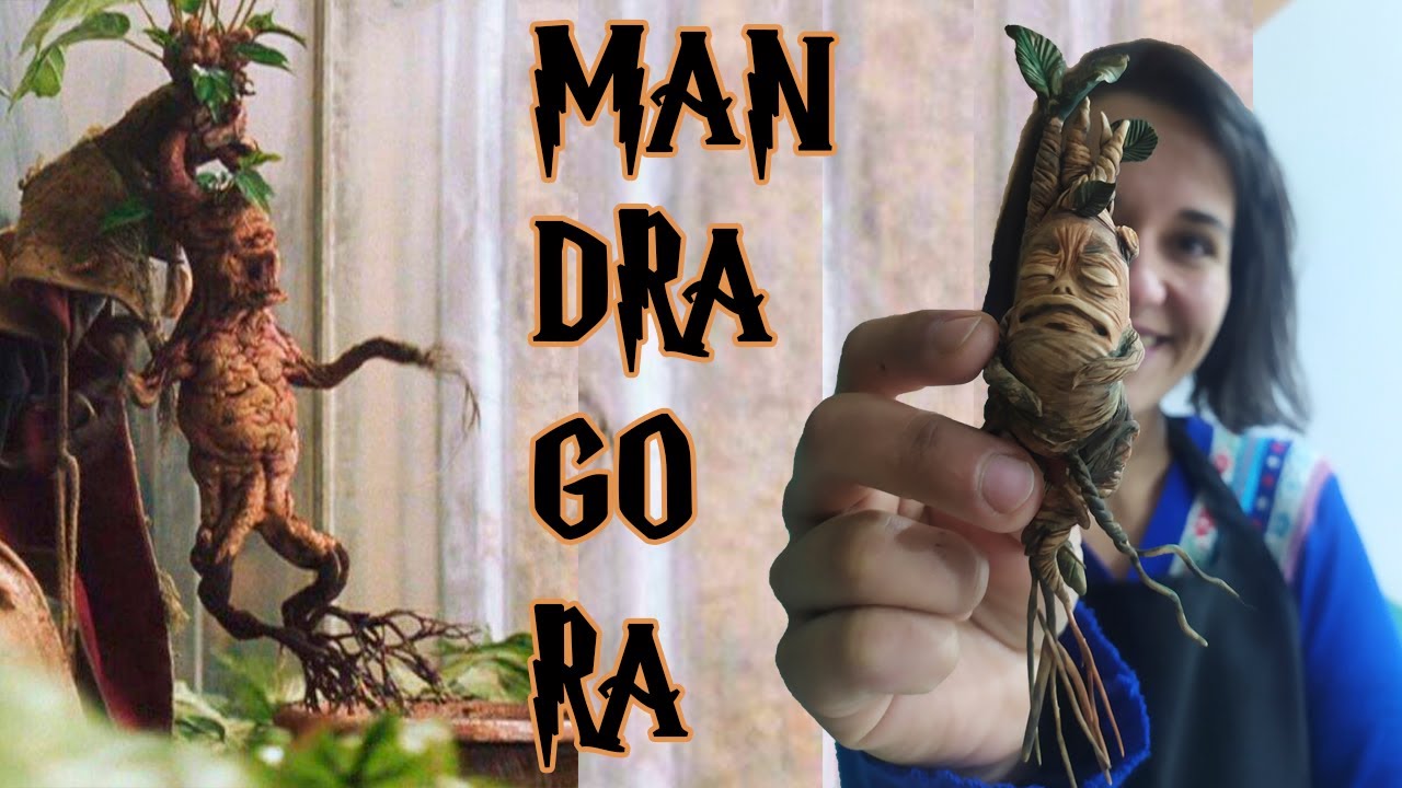 Vamos Fazer Uma Mandrágora? | Passo a Passo Fácil e Descomplicado!!!