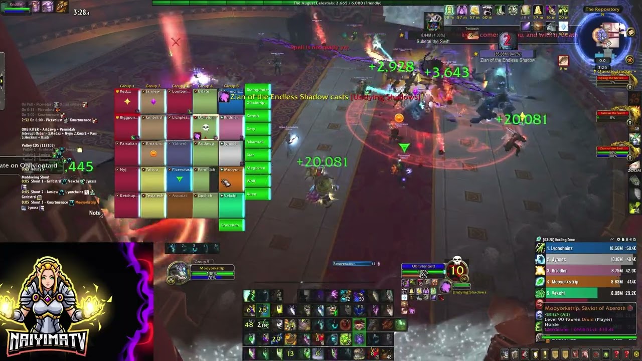 Blitz vs. Heroic Spirit Kings (Resto Druid POV)