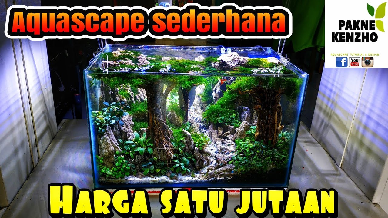 #78 Aquascape harga sejutaan