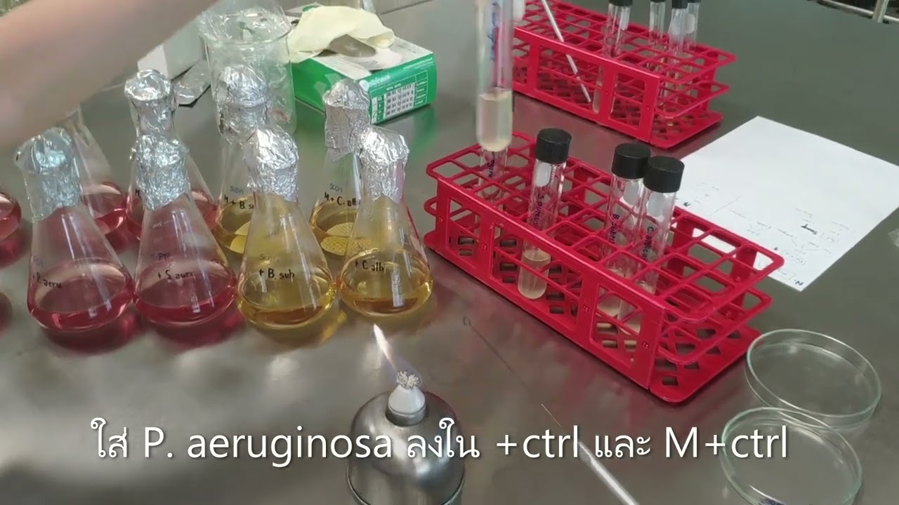 2 Membrane filtration (add bacteria to media flask)