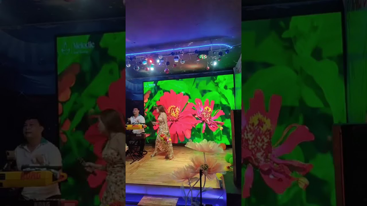 TÌNH HẬN, CA SỸ PHẠM PHƯỢNG COVER