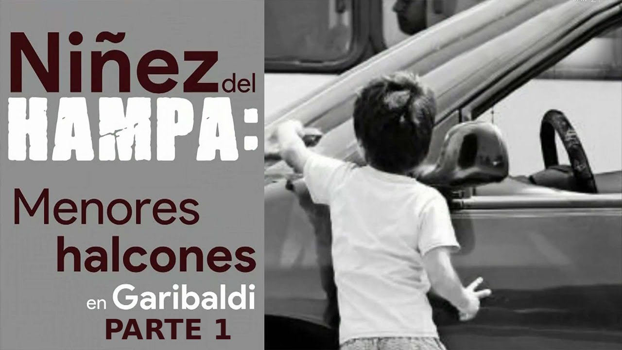 Ni&ntilde;os halcones: Los ojos ocultos del narco Parte 1