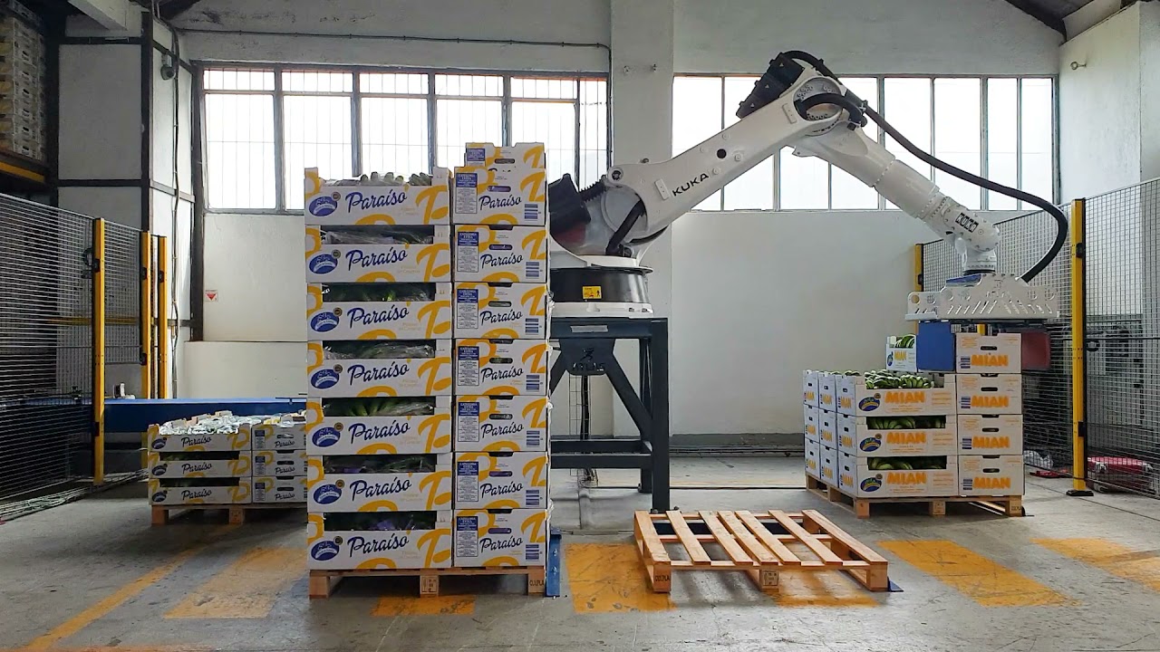 Banana box palletiser with four docks in Canary Islands