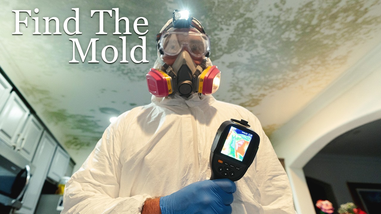 How To Test Your Home For Mold (Step By Step)