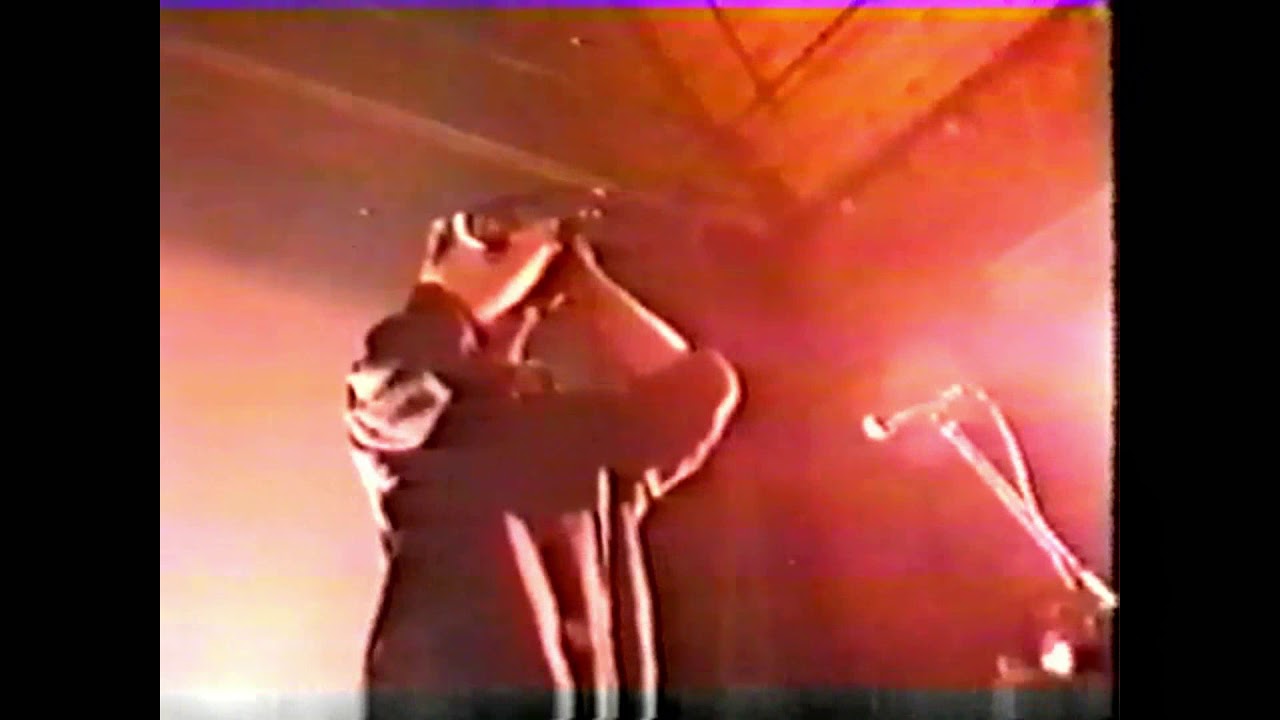 Anenzephalia - Extract from Borås, Sweden 1996