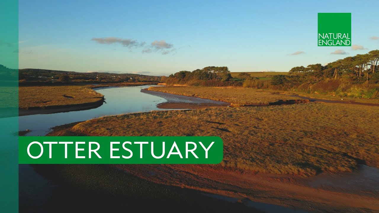 Otter Estuary – Where nature returns…