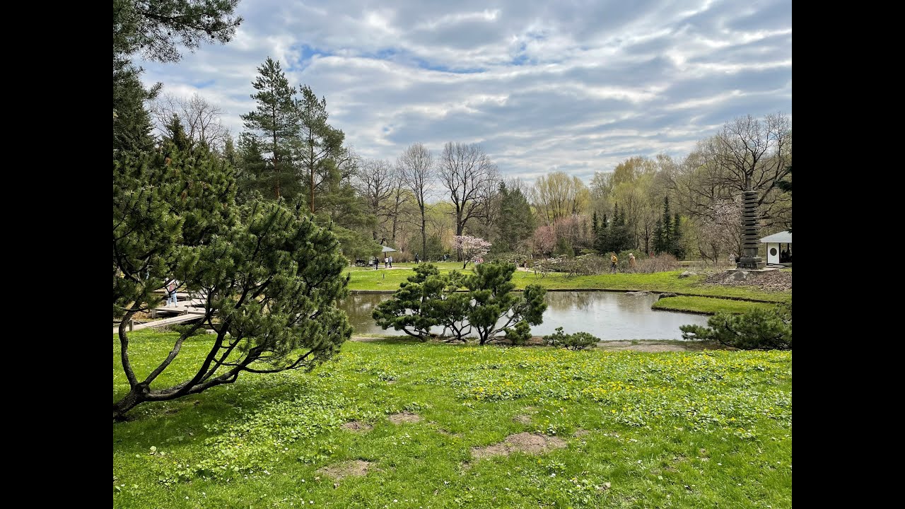 Японский сад и Парк Хуамин в Москве (Japanese garden & Huaming park - Moscow, Russia)