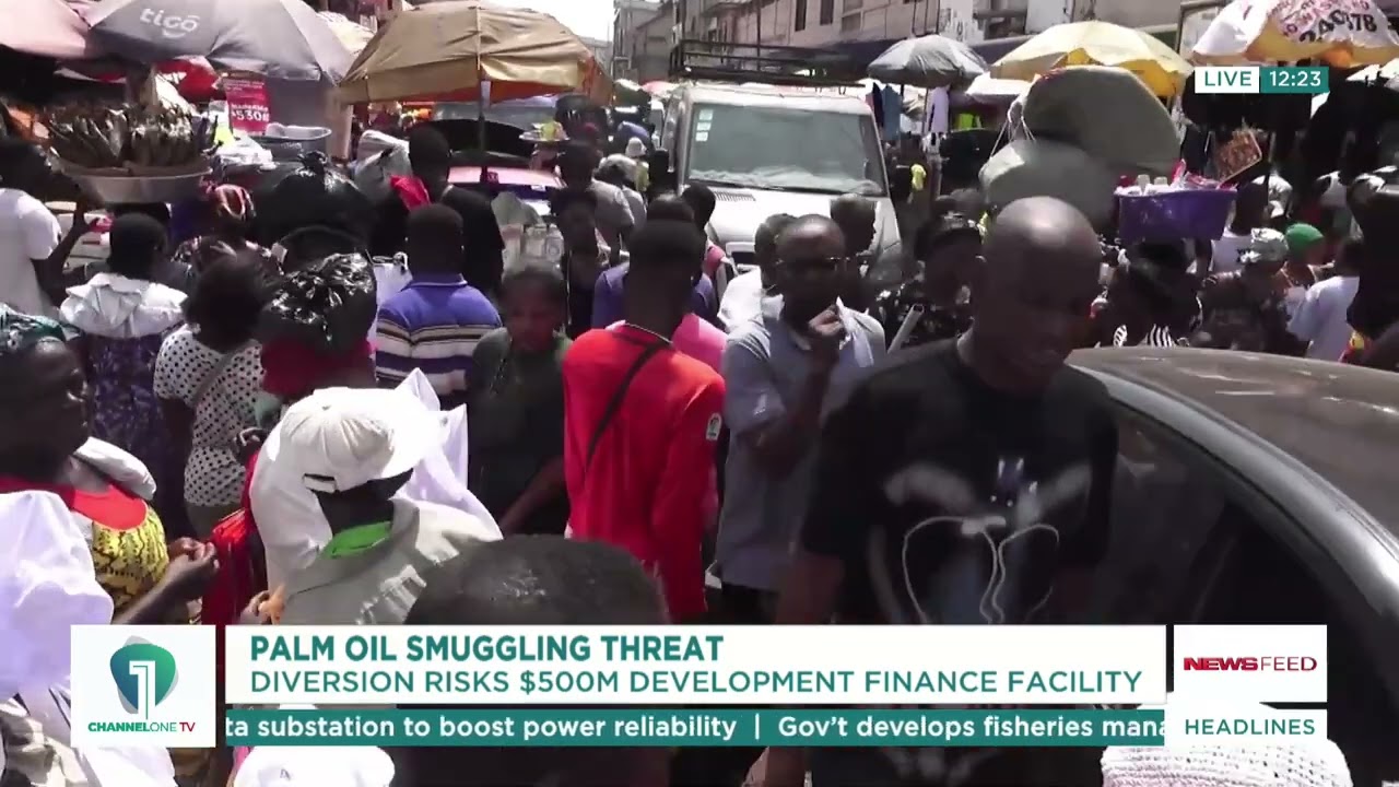 Palm Oil Smuggling Threat: $500M Development Finance Facility at Serious Risk | News Feed