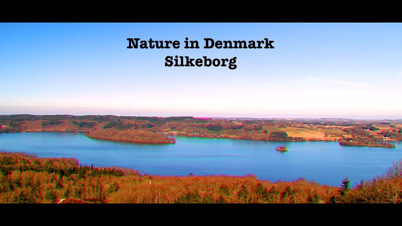 Nature in Denmark, Silkeborg.(Cinematic video of nature)