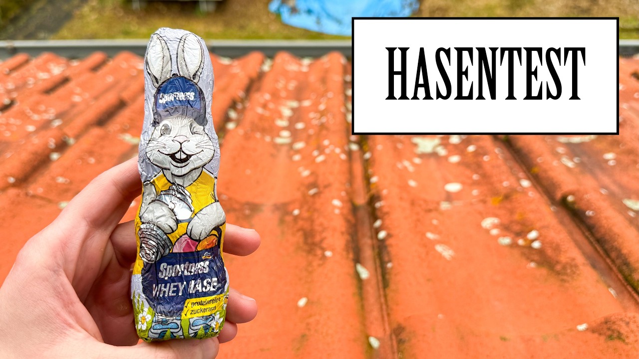DM Sportness - Whey Hase | HASENTEST