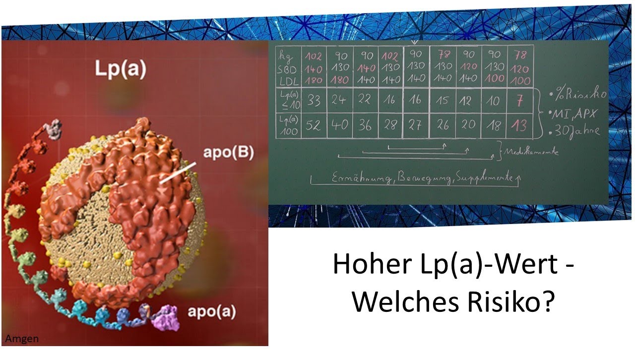 Erhöhtes Lipoprotein(a): Wie hoch ist das Risiko für Herzinfarkt und Schlaganfall?