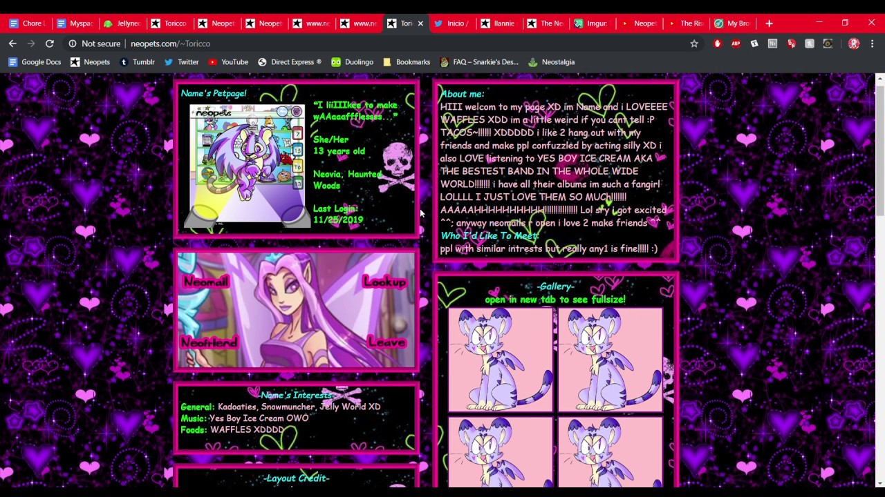 Early 2000's Myspace Custom Layout styled Neopets petpage code