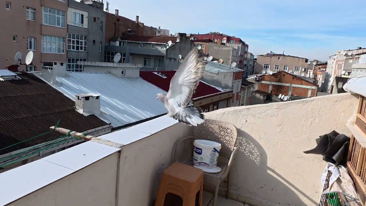 4  ŞUBAT SUSAMİ. KALKIŞ