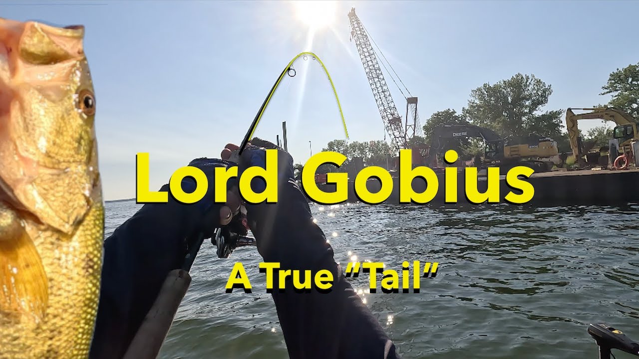 57 Fish, 12 Over 5 Lb!! Lake Erie (Summer)